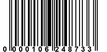 0000106248733