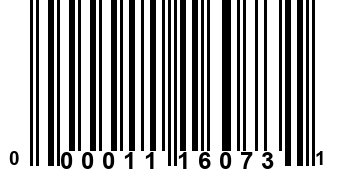 000011160731