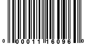 000011160960