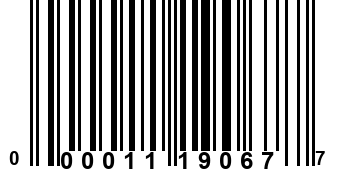 000011190677