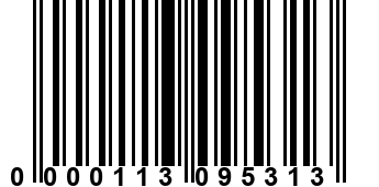 0000113095313