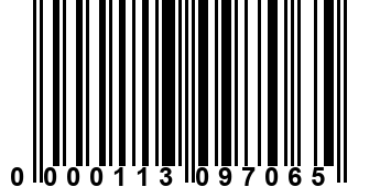 0000113097065