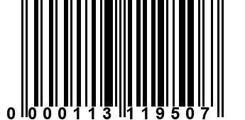 0000113119507