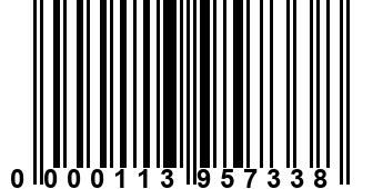 0000113957338