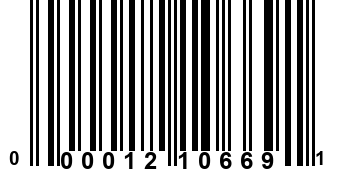 000012106691