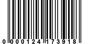 0000124173918