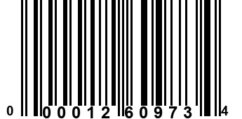 000012609734