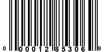 000012853069