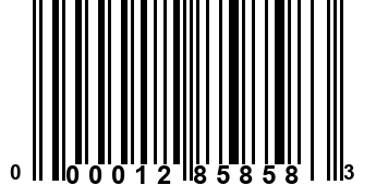 000012858583