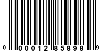 000012858989