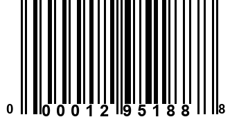 000012951888