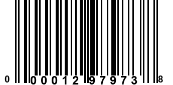 000012979738