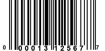 000013125677