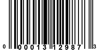 000013129873