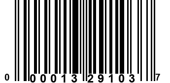 000013291037