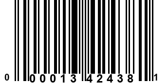 000013424381