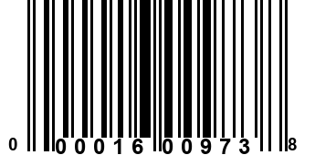 000016009738