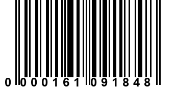 0000161091848