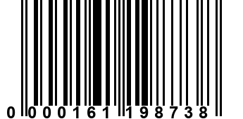 0000161198738