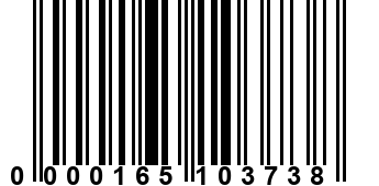 0000165103738