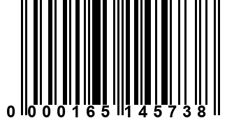 0000165145738
