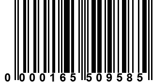 0000165509585