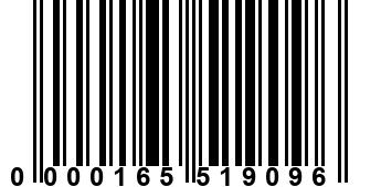 0000165519096