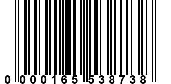 0000165538738