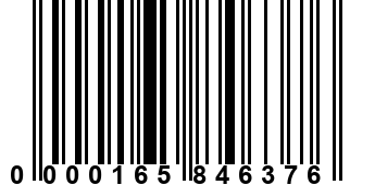 0000165846376