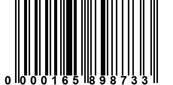 0000165898733