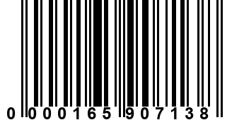 0000165907138