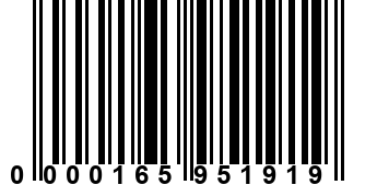 0000165951919