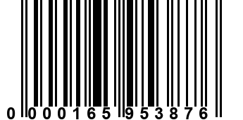 0000165953876