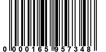 0000165957348