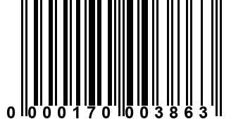 0000170003863