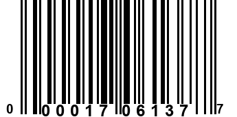 000017061377