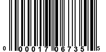 000017067355