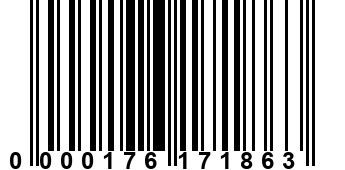 0000176171863