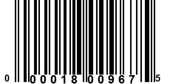 000018009675