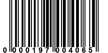 0000197004065