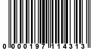 0000197114313