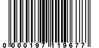 0000197119677