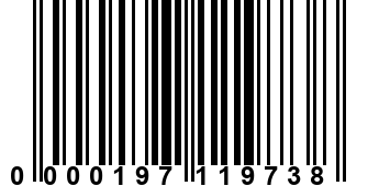 0000197119738