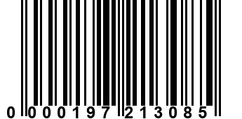 0000197213085