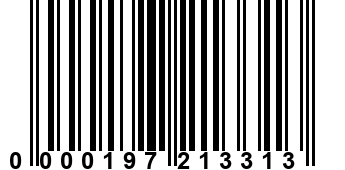 0000197213313