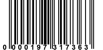 0000197317363