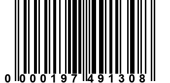 0000197491308