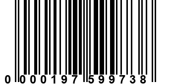 0000197599738