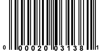 000020031381