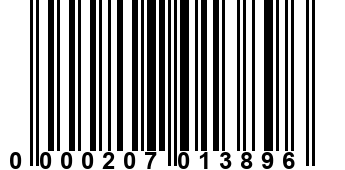 0000207013896